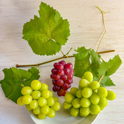 ３種類３房入り