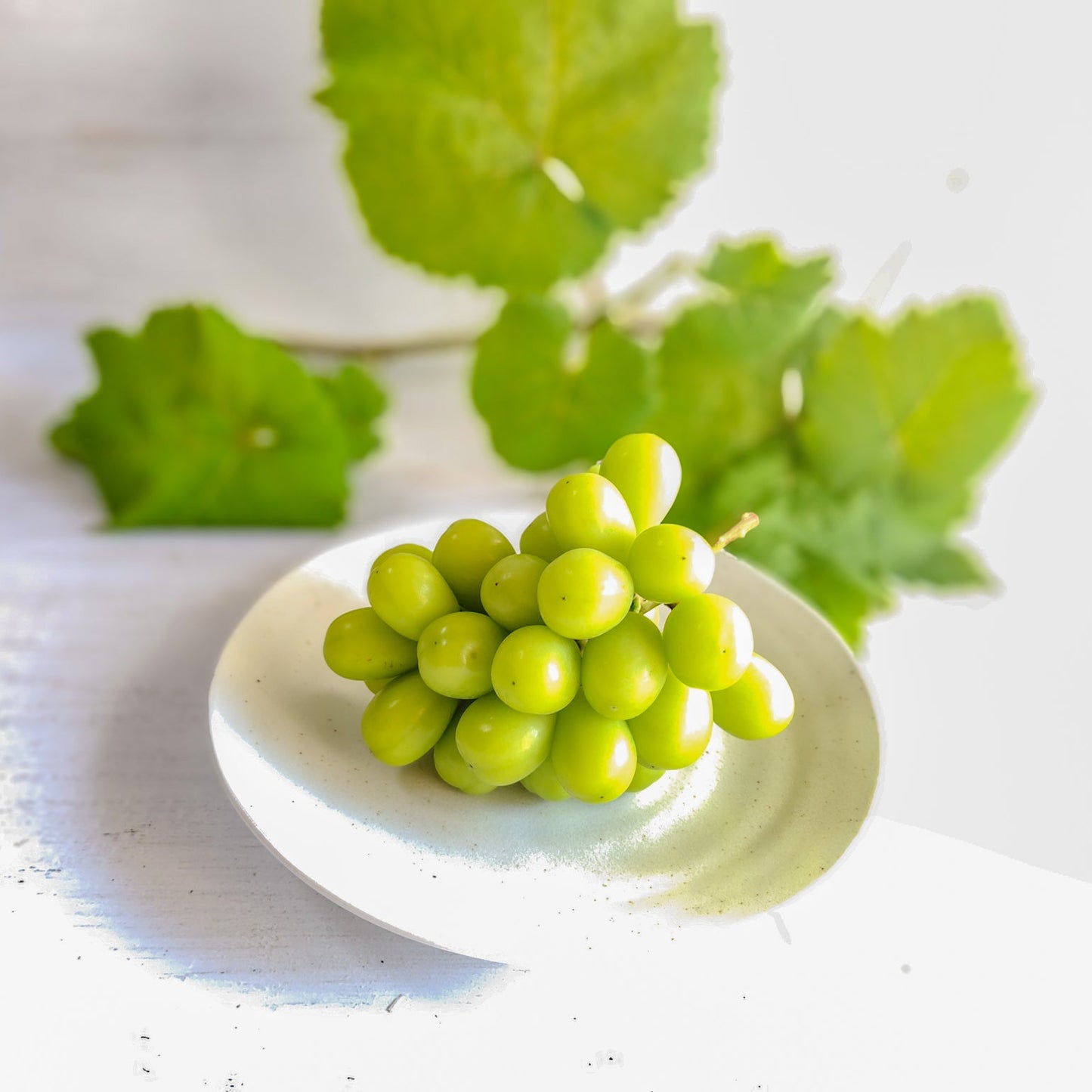 シャインマスカット400g×2房入