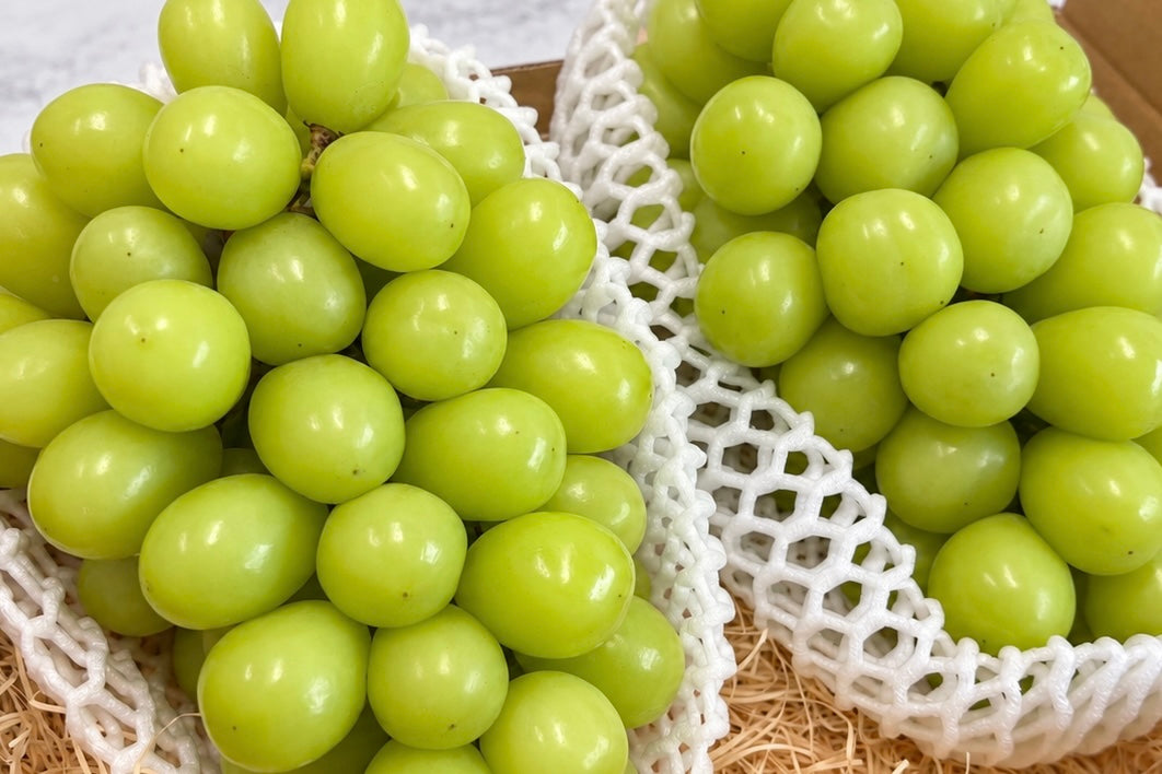 【贈答用】シャインマスカット(800g以上×2房)