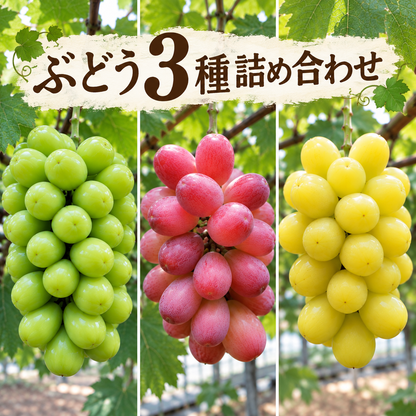 ぶどう3種詰め合わせ