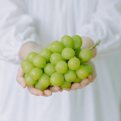 シャインマスカット400g×2房入